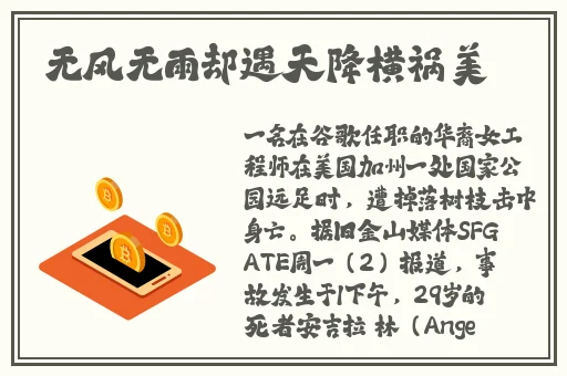 真正免费不充金币的交友聊天软件